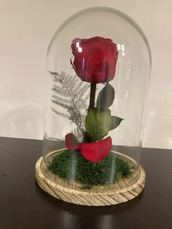 Cloche avec des fleurs séchées et stabilisées pour votre décoration