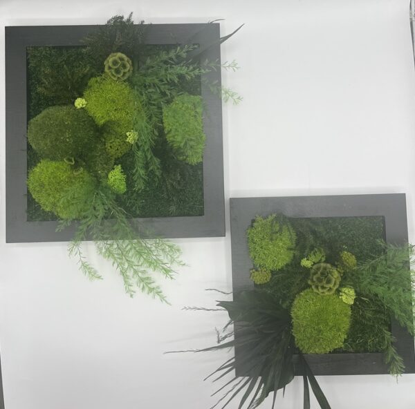 Tableau vegetal en fleurs séchées et stabilisées